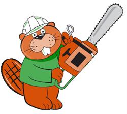 Beaver Tree Services