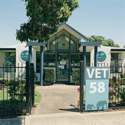 Berwick Veterinary Hospital