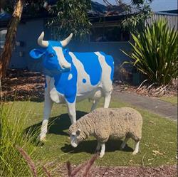 Black Rock And East Bentleigh Veterinary Clinics