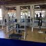 free weights