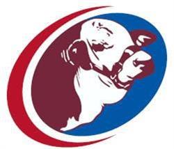 Australian Braford Society