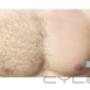 Uploaded by visitor on 31/3/2016 - IPL Hair removal - 10 years experience