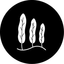 Brookside Vineyard Bed & Breakfast