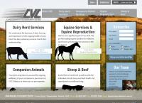 Camperdown Veterinary Clinic's website