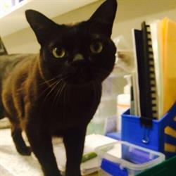 Canterbury Veterinary Clinic
