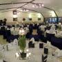 Wedding Reception