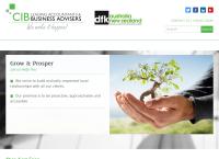 Cib Accountants & Advisers