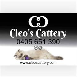 Cleo's Cattery