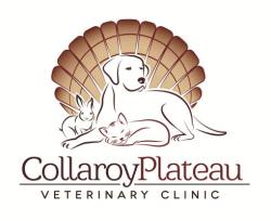 Collaroy Plateau Veterinary Clinic