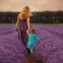 Quality Lavender Oil online Australia