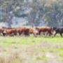 # 4