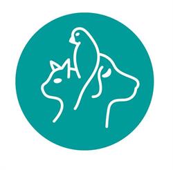 Cremorne Veterinary Hospital