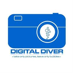 Digital Diver