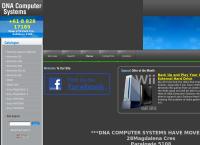 DNA Computer Systems