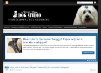 About Town Dog Studio
