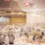 Wedding Drapery