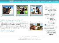 Dorrigo Veterinary Clinic's website