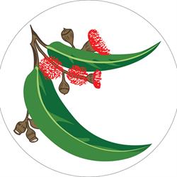 Downes Wholesale Nursery Pty Ltd