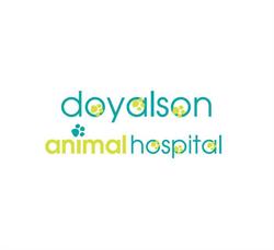 Doyalson Animal Hospital