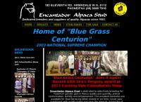Encantador Alpaca Stud