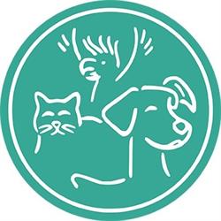 Engadine Veterinary Hospital Cattery