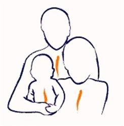 Family Chiropractic- Berwick