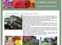 Flowercentral Nq