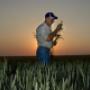 Focal Point Photos