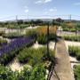 Wholesale nursery on The Mornington Peninsula