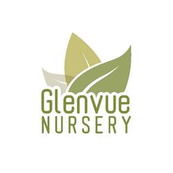 Glenvue Nursery