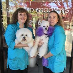Gosford Grooming