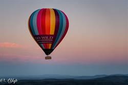 Go Wild Ballooning
