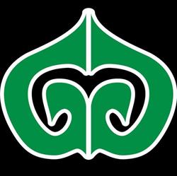 Green Ginger
