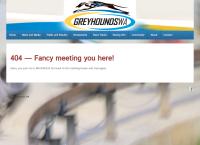 Checkers at Greyhounds WA