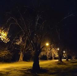 Gundagai Tourist Park
