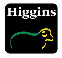 Higgins Insulation