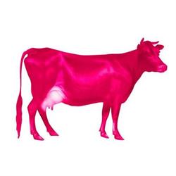 Holy Cow! Design & Advertising