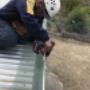 Installing Leafshield
