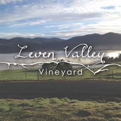 Leven Valley Vineyard