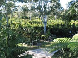 Logan River Tree Farm Pty Ltd