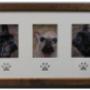 frames for pets