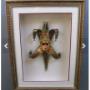custom framer mornington peninsula