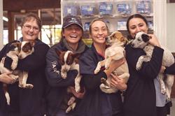 Manly Road Veterinary Hospital