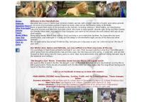 Mansfield Zoo