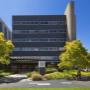 517 St Kilda Rd entrance opposite tram stop 25