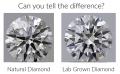 Natural or Lab Grown Diamonds