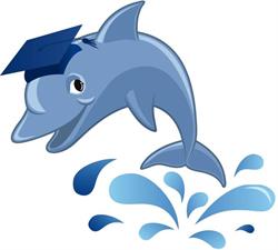 Menai Swim Academy