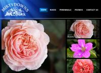 Mistydowns Rose Nursery