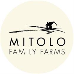 Mitolo Group Pty Ltd