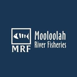 Mooloolaba Fish Market